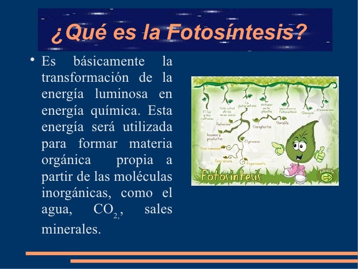 Descargar diapositivas de la fotosintesis 88 Descargar diapositivas de la fotosintesis 33
